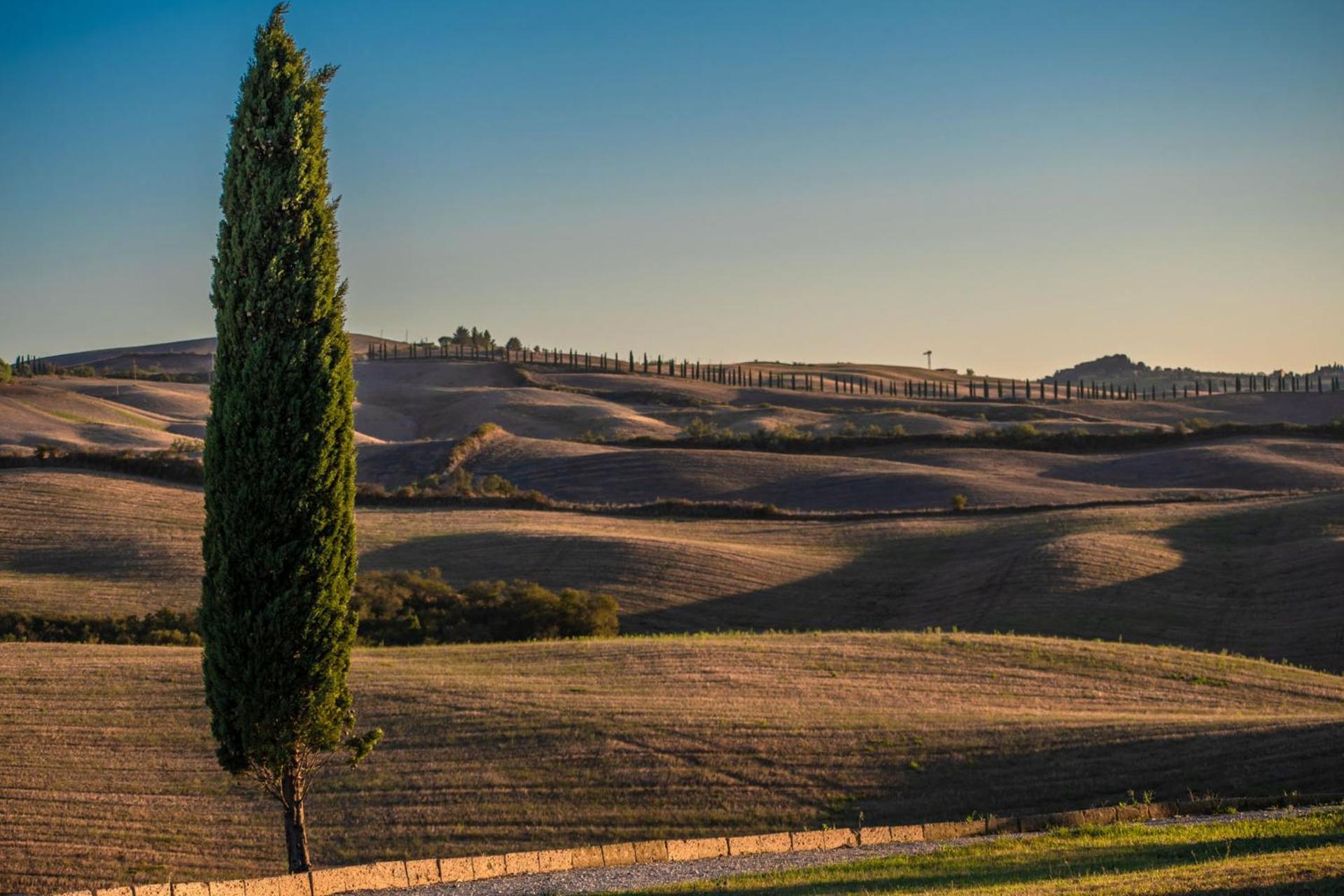 Podere Fossaccio Casa Pino Asciano Ngoại thất bức ảnh